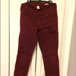 Maroon Pants